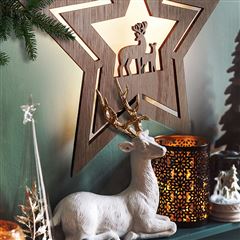 Solight LED nástěnná dekorace vánoční hvězda, 24x LED, 2x AA