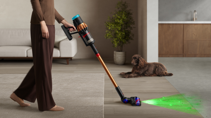 Dyson V12 Detect Slim Submarine