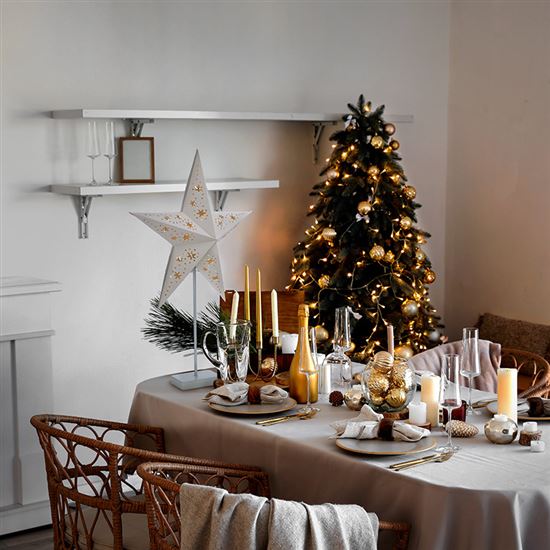 Solight LED vánoční hvězda stolní, 10x LED, 3x AA