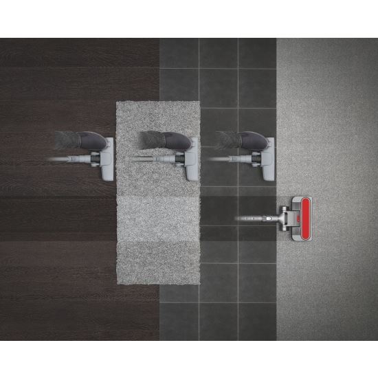 Dyson Big Ball Parquet 2