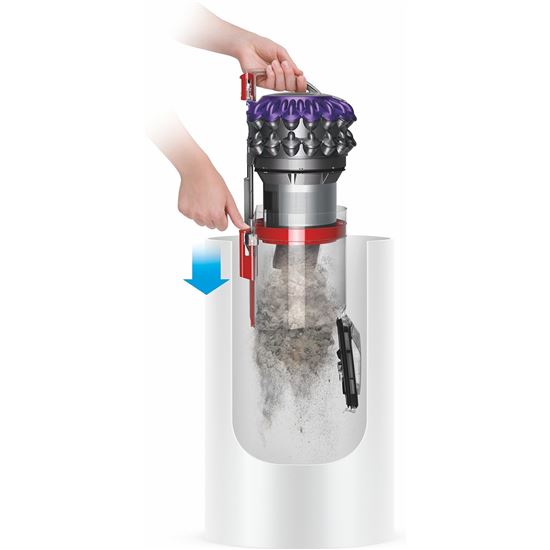 Dyson Big Ball Parquet 2