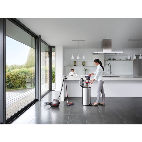 Dyson Big Ball Parquet 2