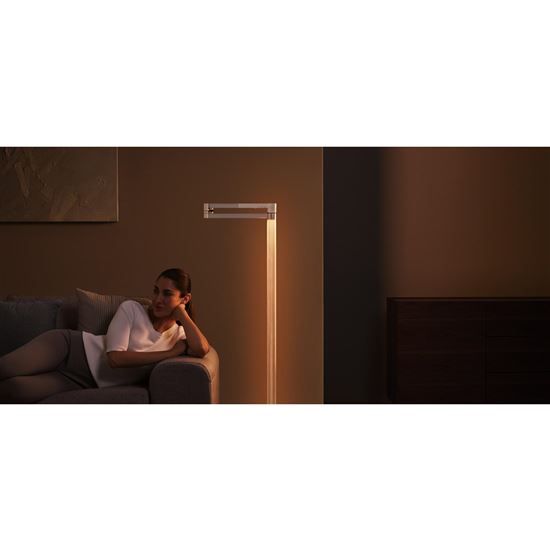 Dyson Solarcycle Morph™ CF06 podlahová lampa černá