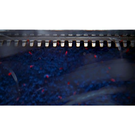 Dyson Clean+Wash Hygiene