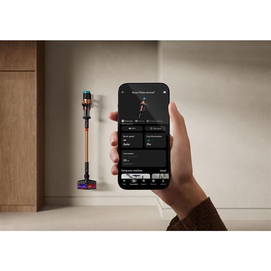 Dyson V16 Piston Animal