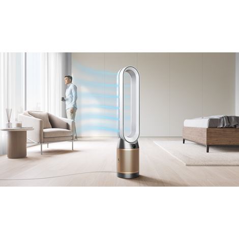 Dyson Purifier Cool PC2 De-NOx TP12