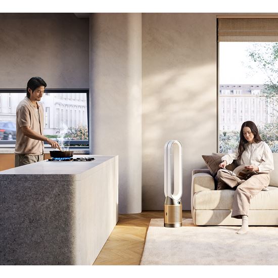 Dyson Purifier Cool PC2 De-NOx TP12