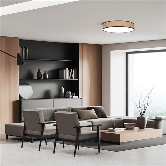Solight LED osvětlení s dálkovým ovladačem Brownie, 60W, 4200lm, 50cm, změna chromatičnosti, stmívatelné