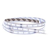Solight LED SMD pásek, 50m, studená bílá, 16W/m, 1500lm/m, 10mm